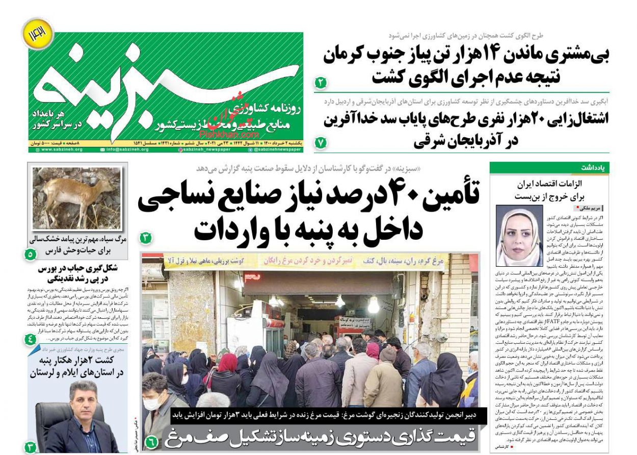 عناوین اخبار روزنامه سبزینه در روز یکشنبه‌ ۲ خرداد