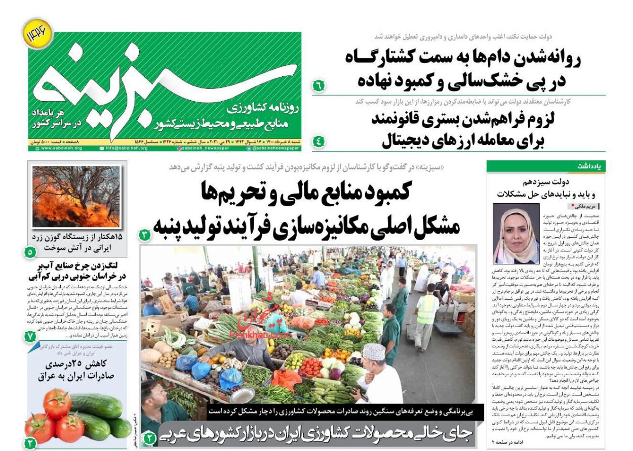 عناوین اخبار روزنامه سبزینه در روز شنبه ۸ خرداد
