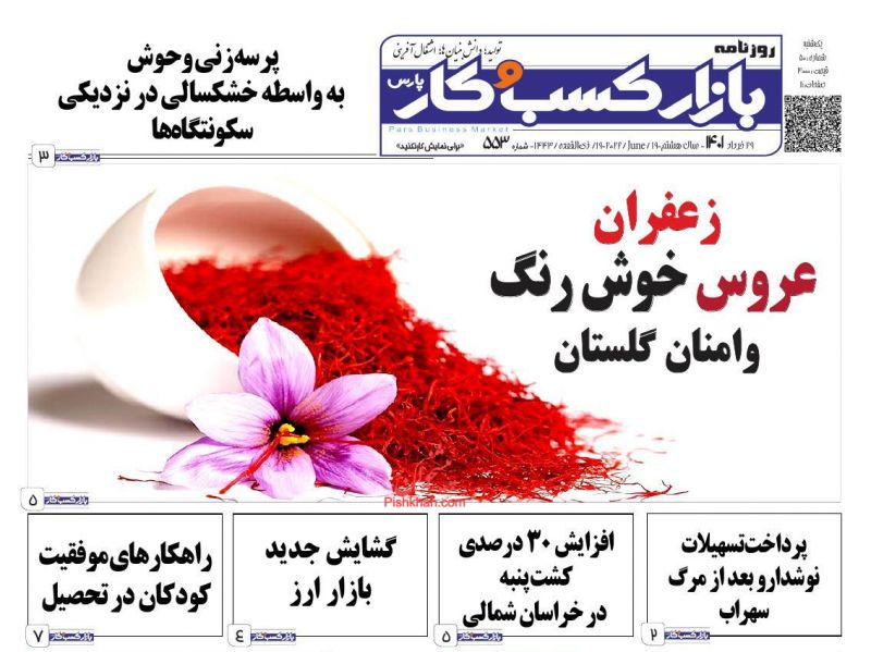 عناوین اخبار روزنامه بازار کسب و کار در روز یکشنبه‌ ۲۹ خرداد